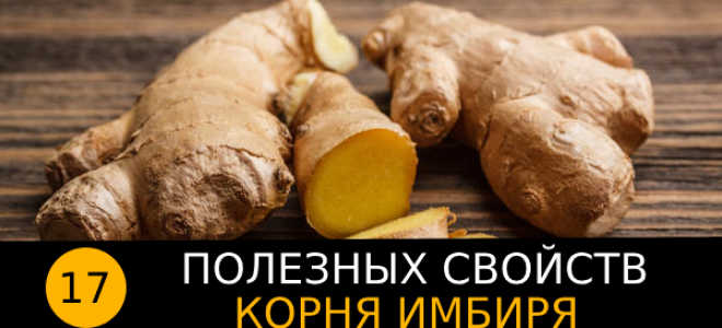 17 полезных свойств имбиря, побочные эффекты, приминение